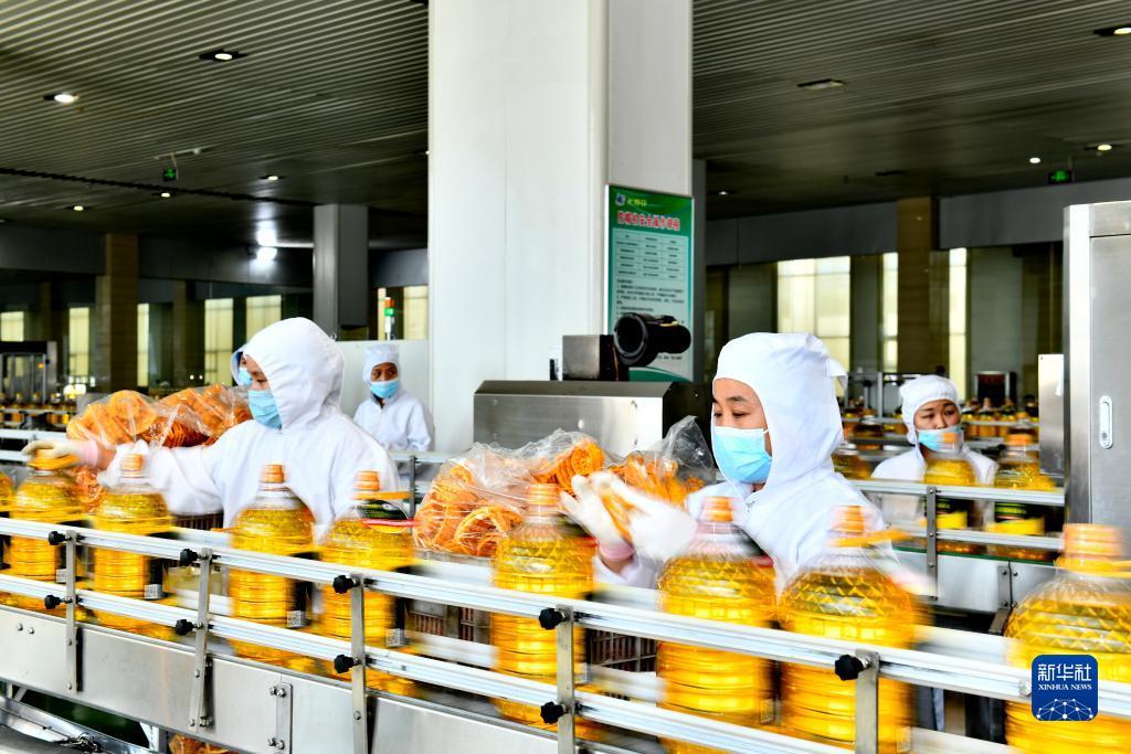 乐玩游戏官方下载